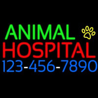 Animal Hospital With Phone Number Enseigne Néon