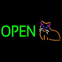 Open Cat Logo Green Letters Enseigne Néon