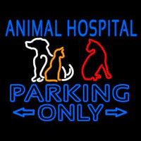 Animal Hospital Parking Only Enseigne Néon