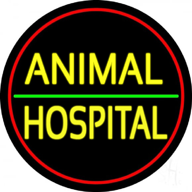 Animal Hospital Red Circle Enseigne Néon