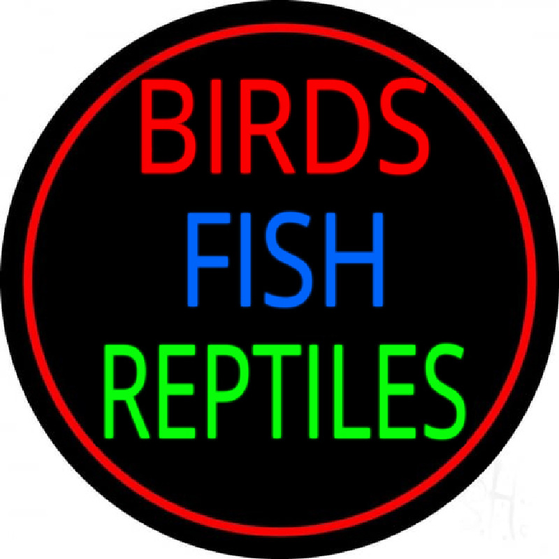 Birds Fish Reptiles 2 Enseigne Néon