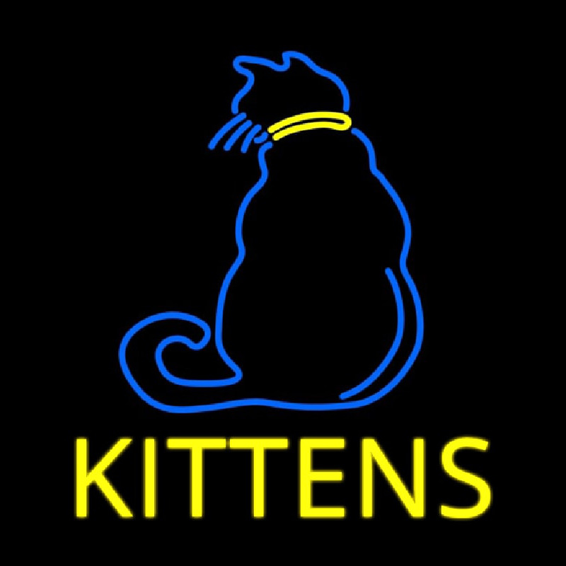 Kittens Cat Enseigne Néon