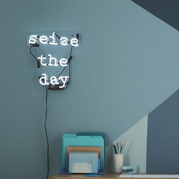 Seize the day Enseigne Néon