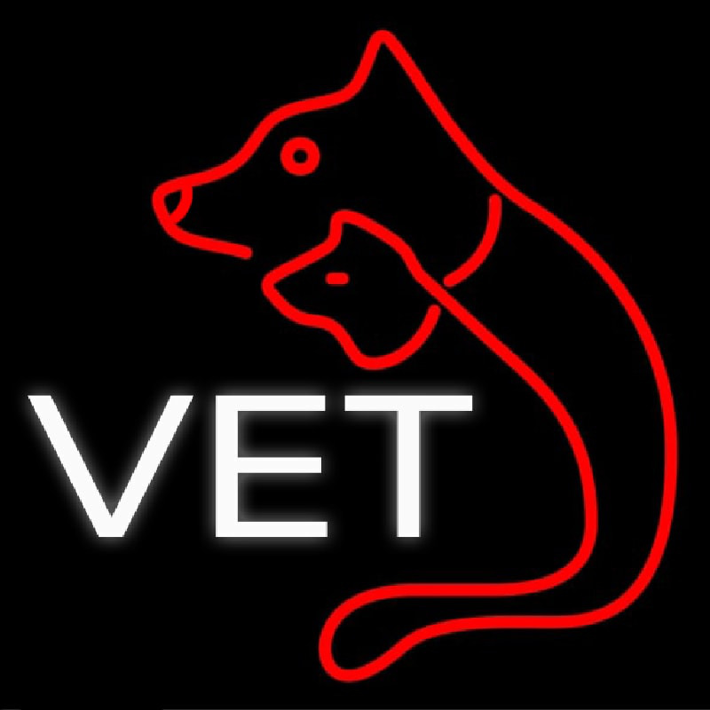 Vet Veterinary Enseigne Néon
