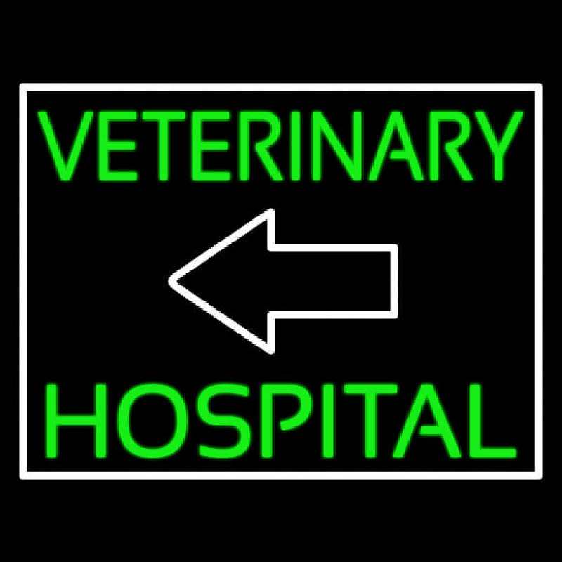 Veterinary Hospital With Arrow Enseigne Néon