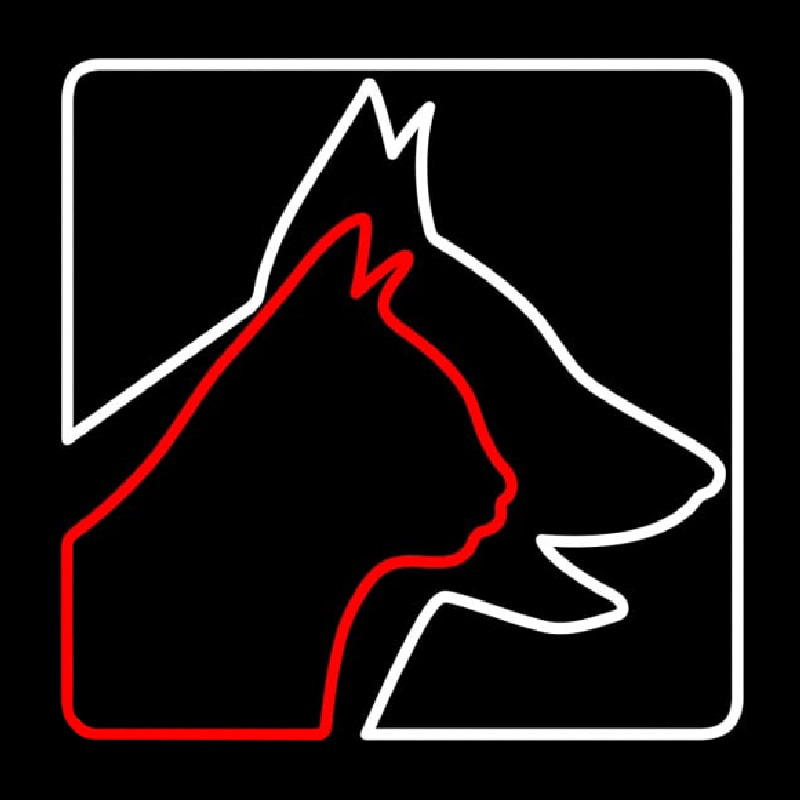 Veterinary Logo Dog Logo Cat Enseigne Néon