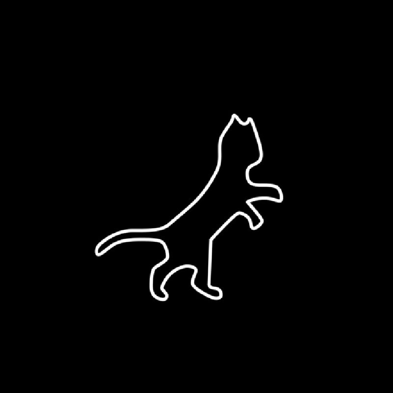 White Cat Logo Enseigne Néon