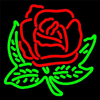 Alpha Omicron Pi Logo Enseigne Néon