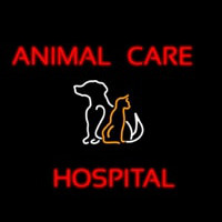 Animal Care Hospital Logo Enseigne Néon