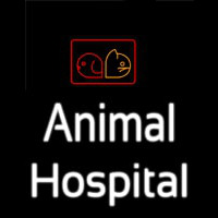 Animal Hospital Enseigne Néon