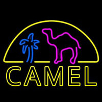 Camel Palm Enseigne Néon