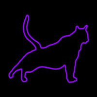 Cat Stretching Purple Enseigne Néon