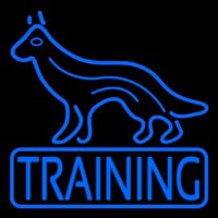 Dog Training Enseigne Néon