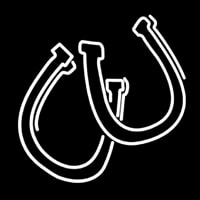 Horse Shoe Pair Enseigne Néon