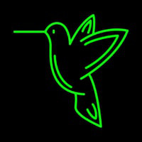 Hummingbird Enseigne Néon