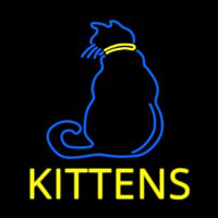 Kittens Cat Enseigne Néon