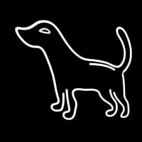 Logo Dog Enseigne Néon