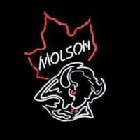 Molson Canadian Bulls Magasin Entrée Enseigne Néon