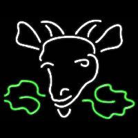 Moosehead Logo Real Neon Glass Tube Enseigne Néon