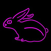 Pink Rabbit Enseigne Néon