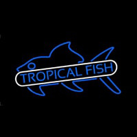 Tropical Fish Blue 1 Enseigne Néon