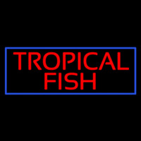 Tropical Fish Blue Border Enseigne Néon
