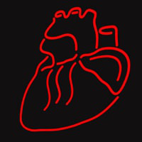 Human Heart Enseigne Néon